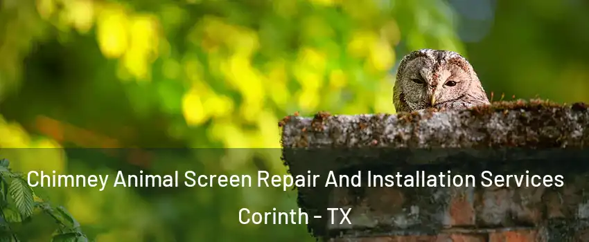  Chimney Animal Screen Repair And Installation Services Corinth - TX