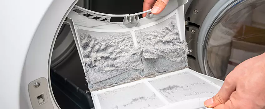 Best Dryer Lint Removal Company in Corinth, Texas